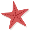 star decor