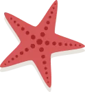 star decor
