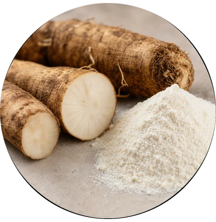 Chicory roots and inulin fibre, the prebiotic in the formula.