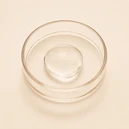 hyaluronic acid ingredient