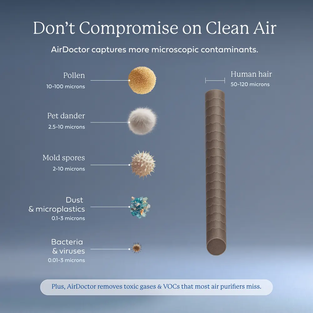 AirDoctor particle size chart comparing pollen, pet dander, mold spores, dust and bacteria to a human hair