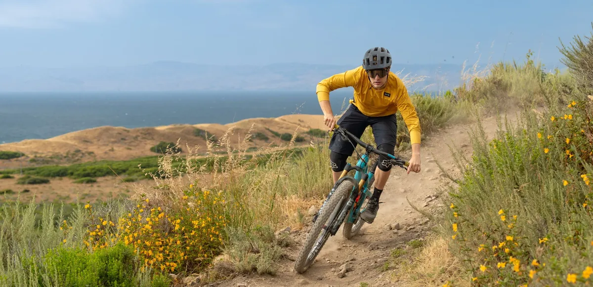 A mountain biker riding a coastal singletrack through yellow wildflowers.