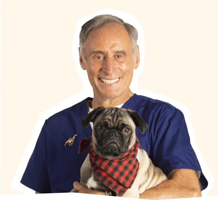 Dr. Marty Goldstein holding a pug