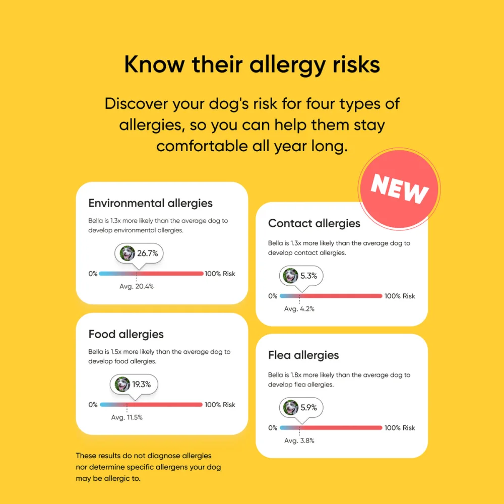 Embark app screen showing allergy risk scores for a dog.