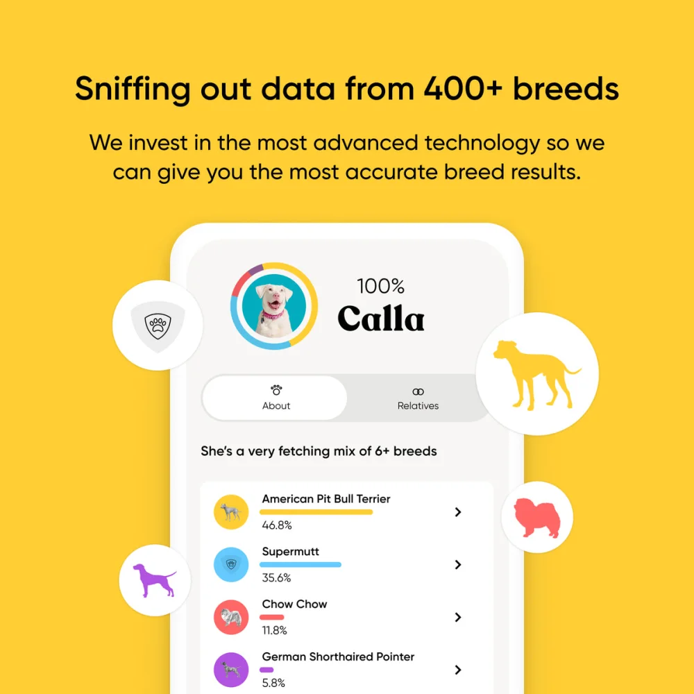 Embark app screen showing a dog breed analysis with percentages.