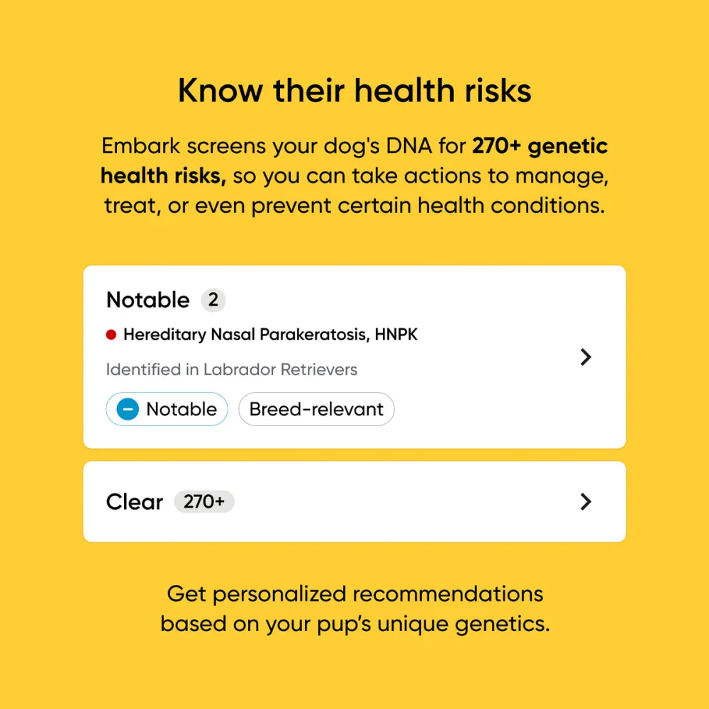 Embark app screen showing the genetic health screening section for 270 plus health risks.