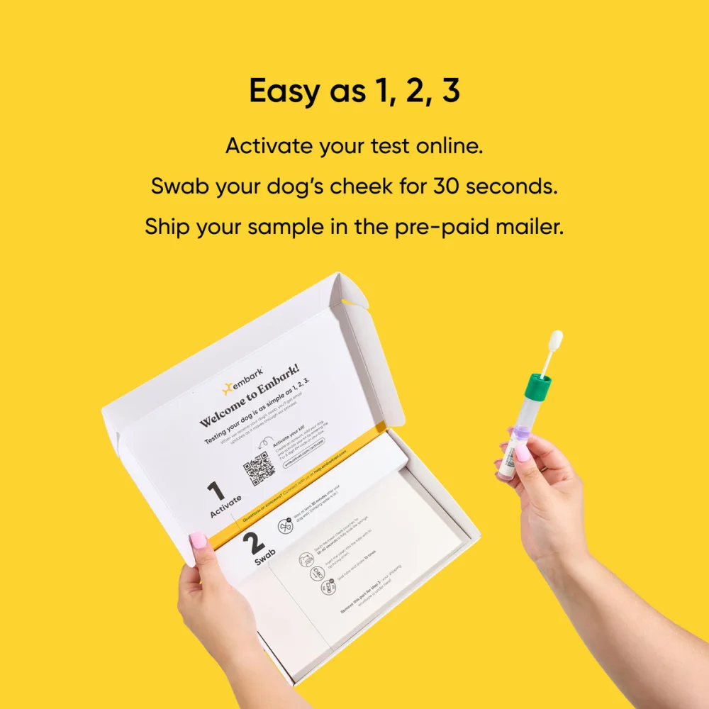 Embark kit contents: swab, collection tube and instructions.