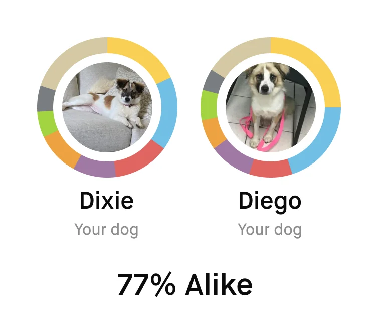 Embark Relative Finder screen showing Dixie and Diego listed as related dogs.
