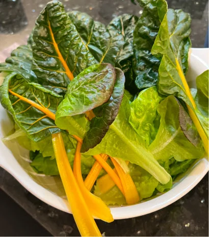 Bowl of freshly cut rainbow chard and lettuce leaves on a kitchen counter