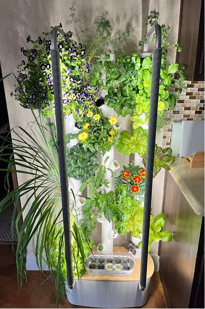 A Gardyn column full of flowers, tomatoes and greens in a home kitchen