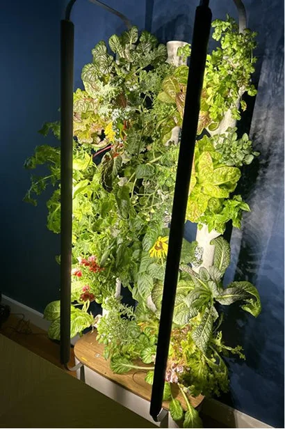 A Gardyn column of greens photographed against a dark blue wall at night
