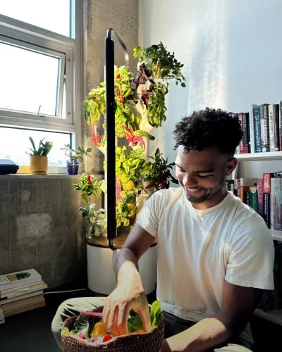A man harvesting salad leaves from a Gardyn column into a bowl at home