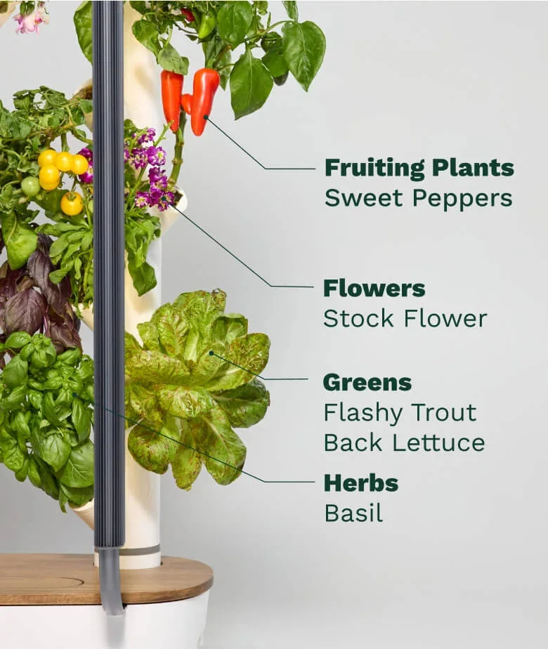 Gardyn column annotated to show fruiting plants, flowers, greens and herbs growing together