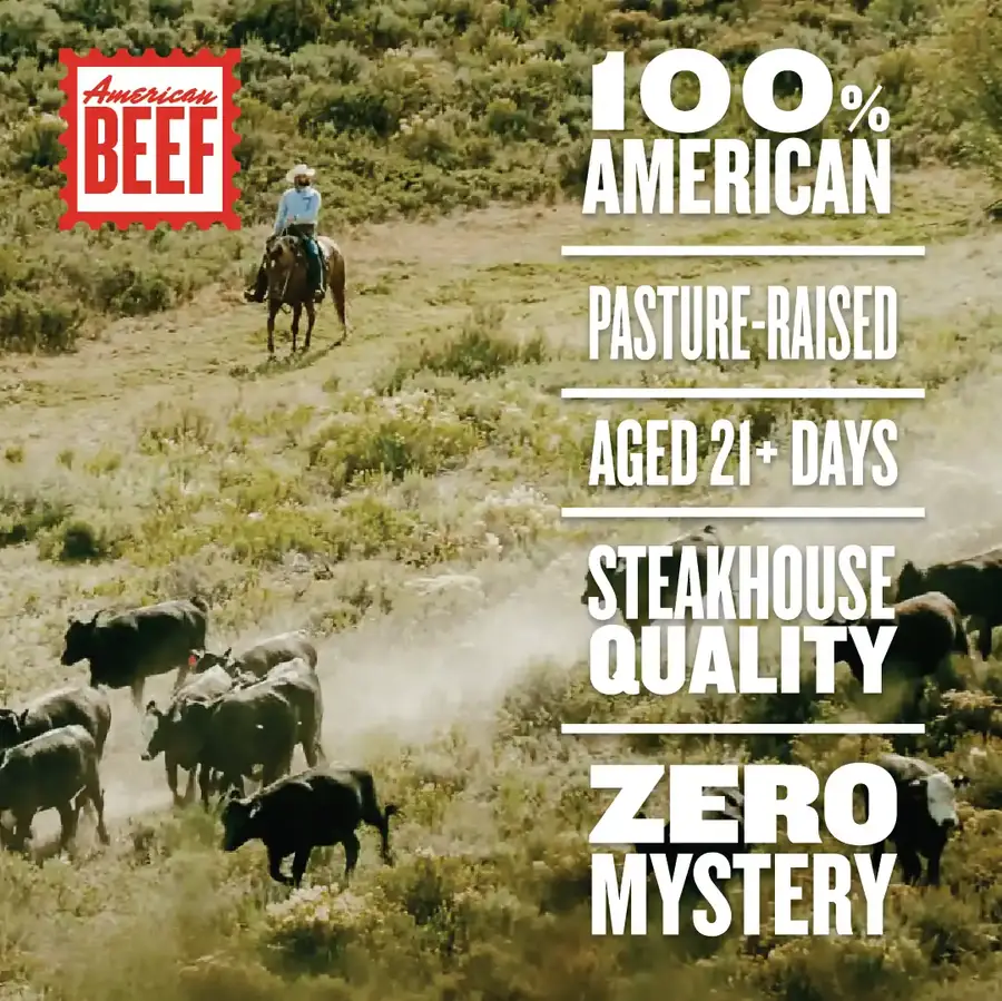 A rancher on horseback moving cattle across open American pasture