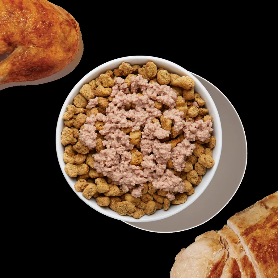 A bowl of dry kibble with a mound of shredded chicken topper stirred through the middle