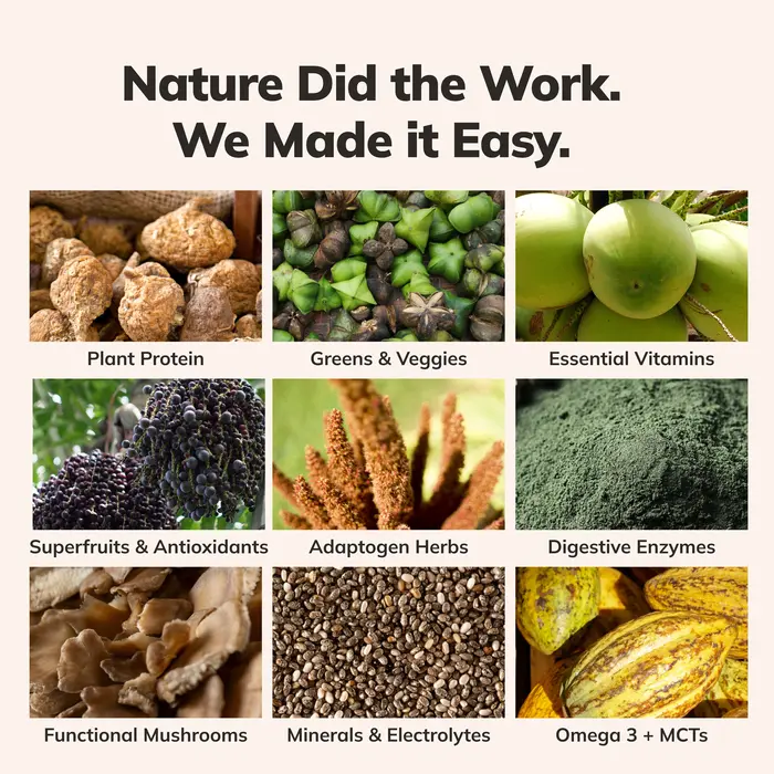 Nine categories of ingredients: plant protein, greens and veggies, essential vitamins, superfruits and antioxidants, adaptogen herbs, digestive enzymes, functional mushrooms, minerals and electrolytes, omega 3 and MCTs