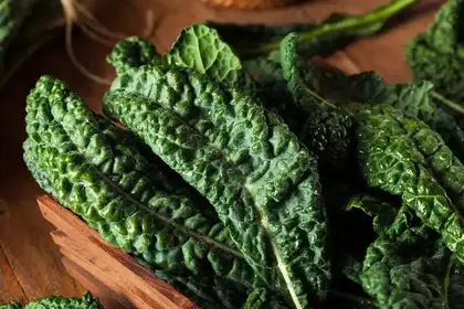 Fresh kale leaves