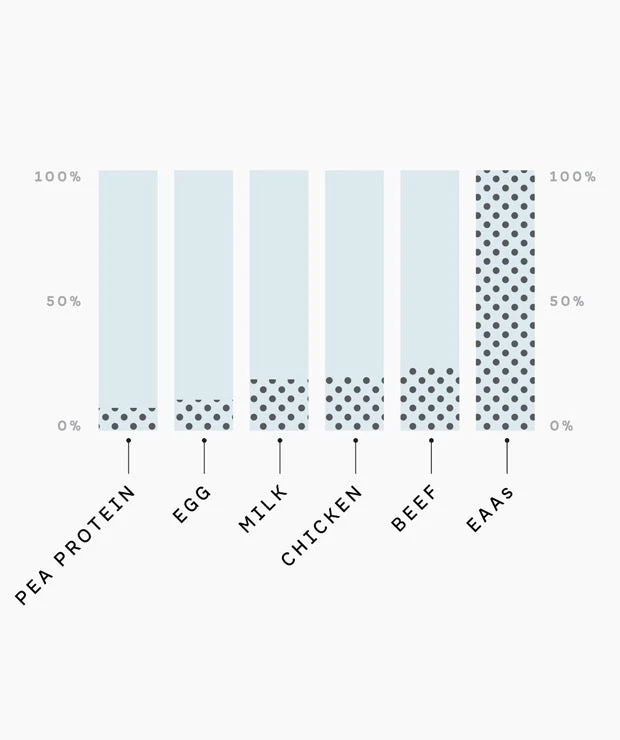 Bar chart from Kion comparing the essential amino acid share of pea protein, egg, milk, chicken, beef and a pure EAA supplement