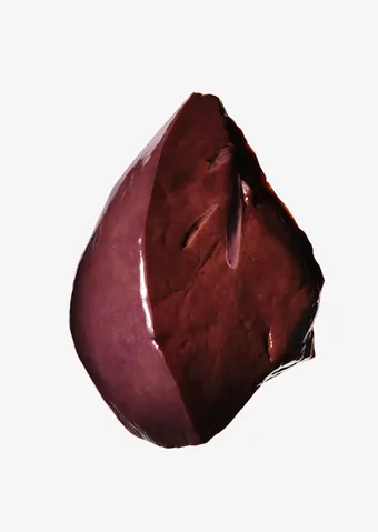 Raw beef liver