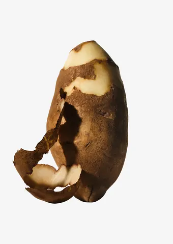 Potato