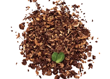 Rhodiola Rosea
