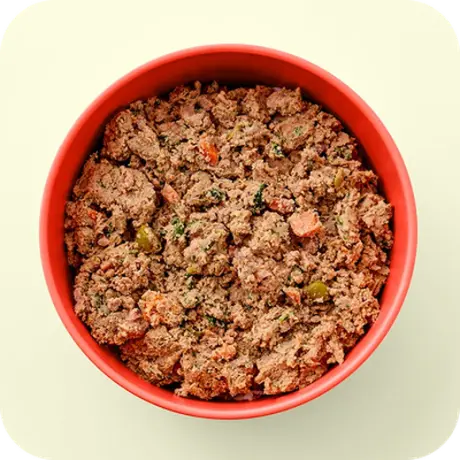 Bowl of Ollie fresh beef recipe