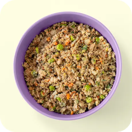 Bowl of Ollie fresh chicken recipe
