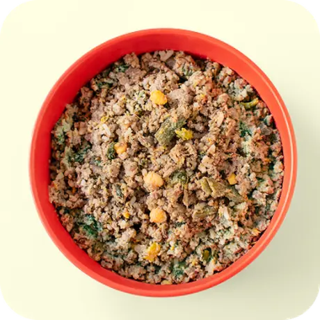 Bowl of Ollie fresh lamb recipe