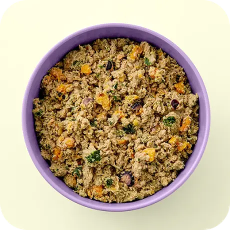 Bowl of Ollie fresh turkey recipe