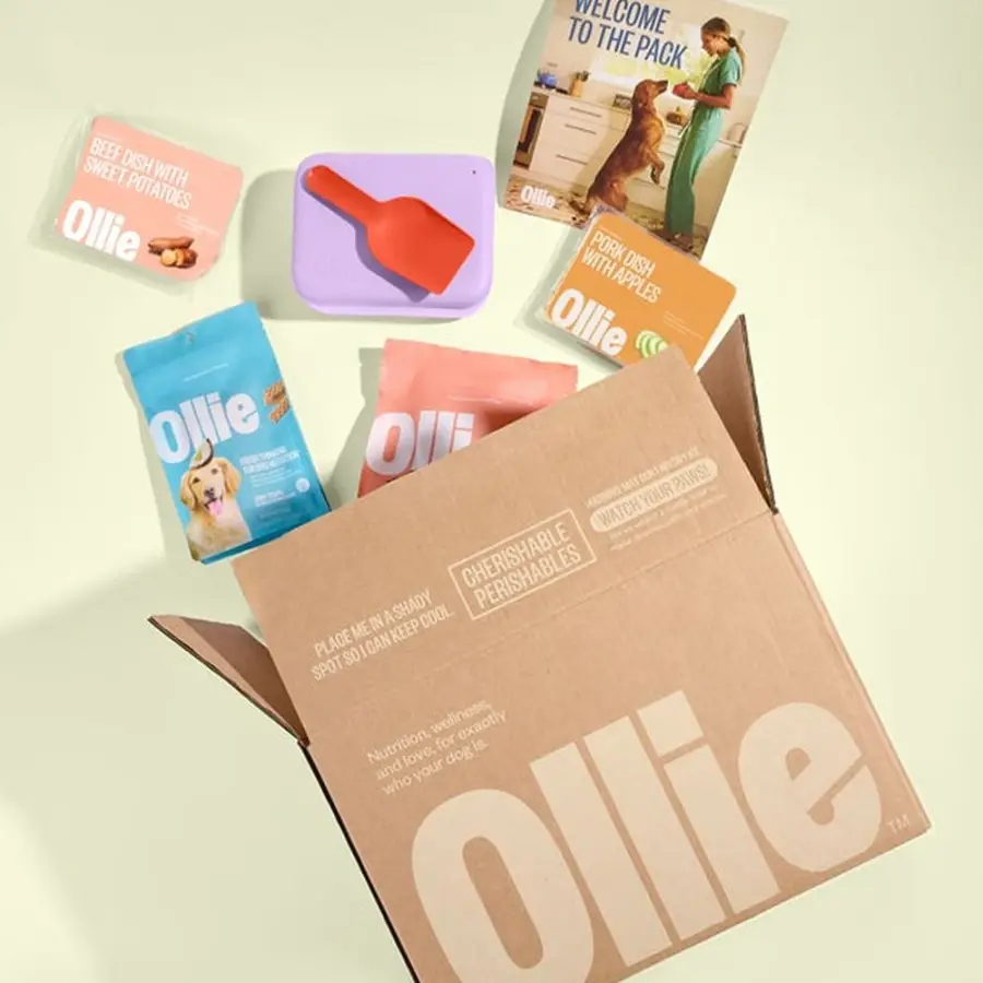 An Ollie delivery box containing fresh food packs, a scoop and a storage container