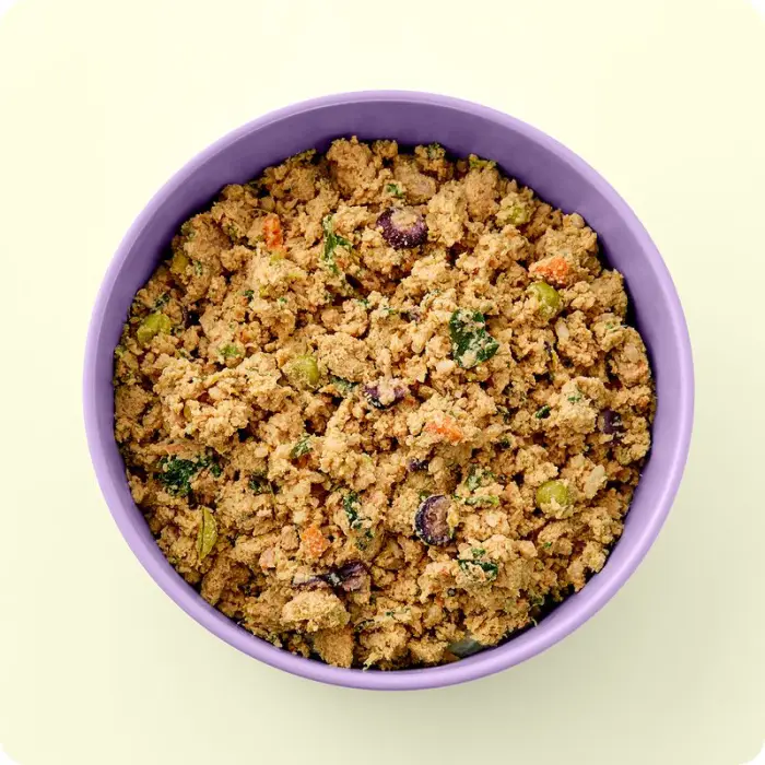 A full bowl of Ollie fresh food