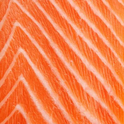 Close up of salmon flesh