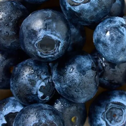 Close up of fresh blueberries