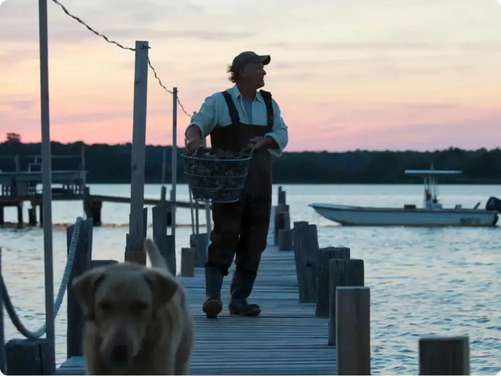 Fisherman carrying a basket along a dock at dawn with a dog waiting
