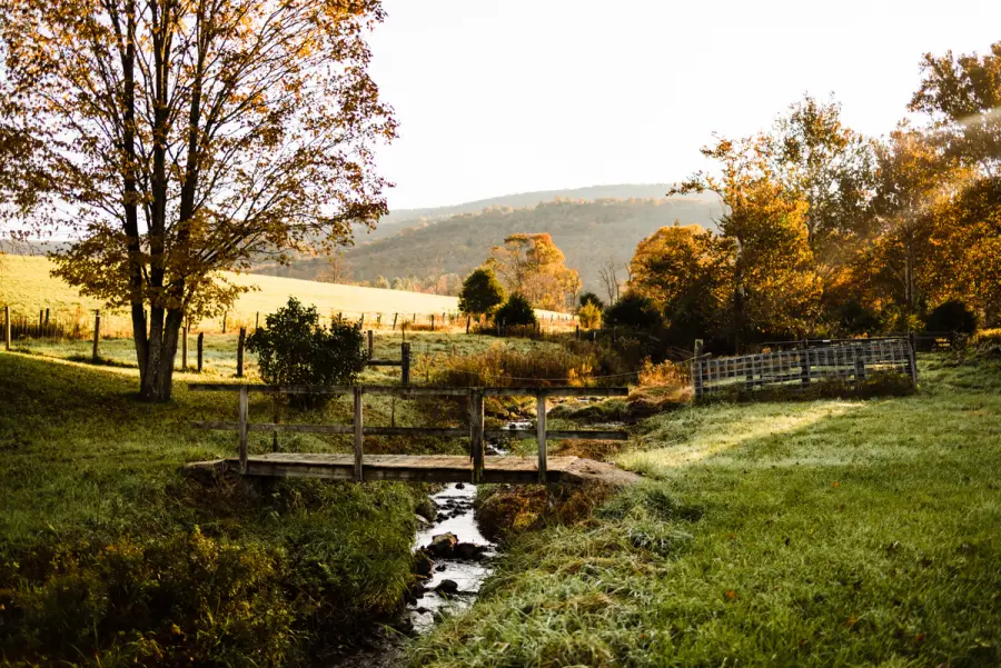 Small farm pasture with a stream at sunrise
