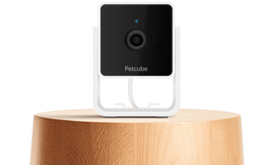 A Petcube Cam standing on a wooden base