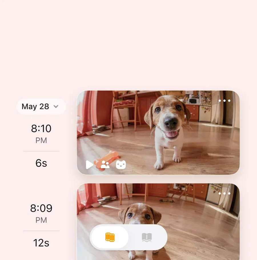 Petcube Care history showing clips of a dog stamped with a date and a time