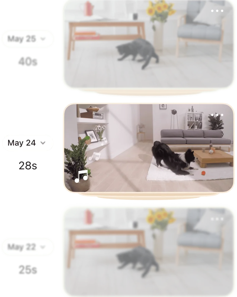 Petcube app timeline showing daily video highlights dated across several days with their durations