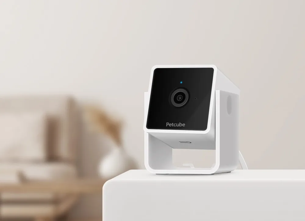 A white Petcube Cam standing on a shelf in a living room