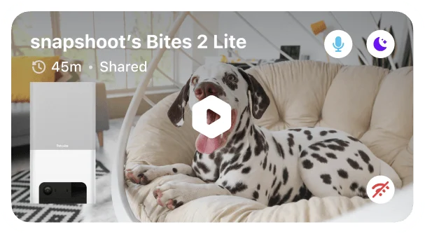 A Petcube video clip card, forty six minutes old and shared