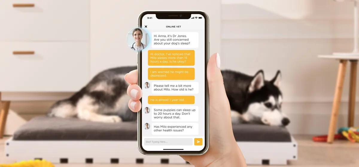 Hands holding a phone with a vet chat open, a dog resting on a bed nearby