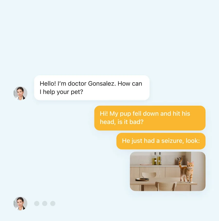 Petcube Online Vet conversation in which an owner describes a fall and a seizure and attaches a video clip