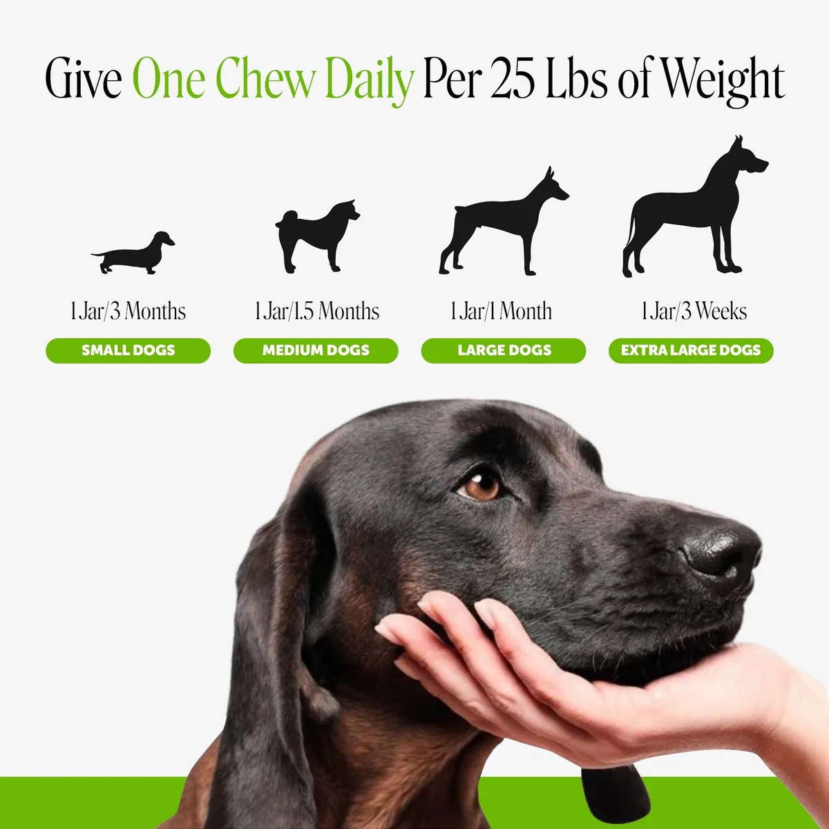 Pet Honesty dosing chart: one chew daily per 25 pounds of weight, and how long one jar lasts by dog size