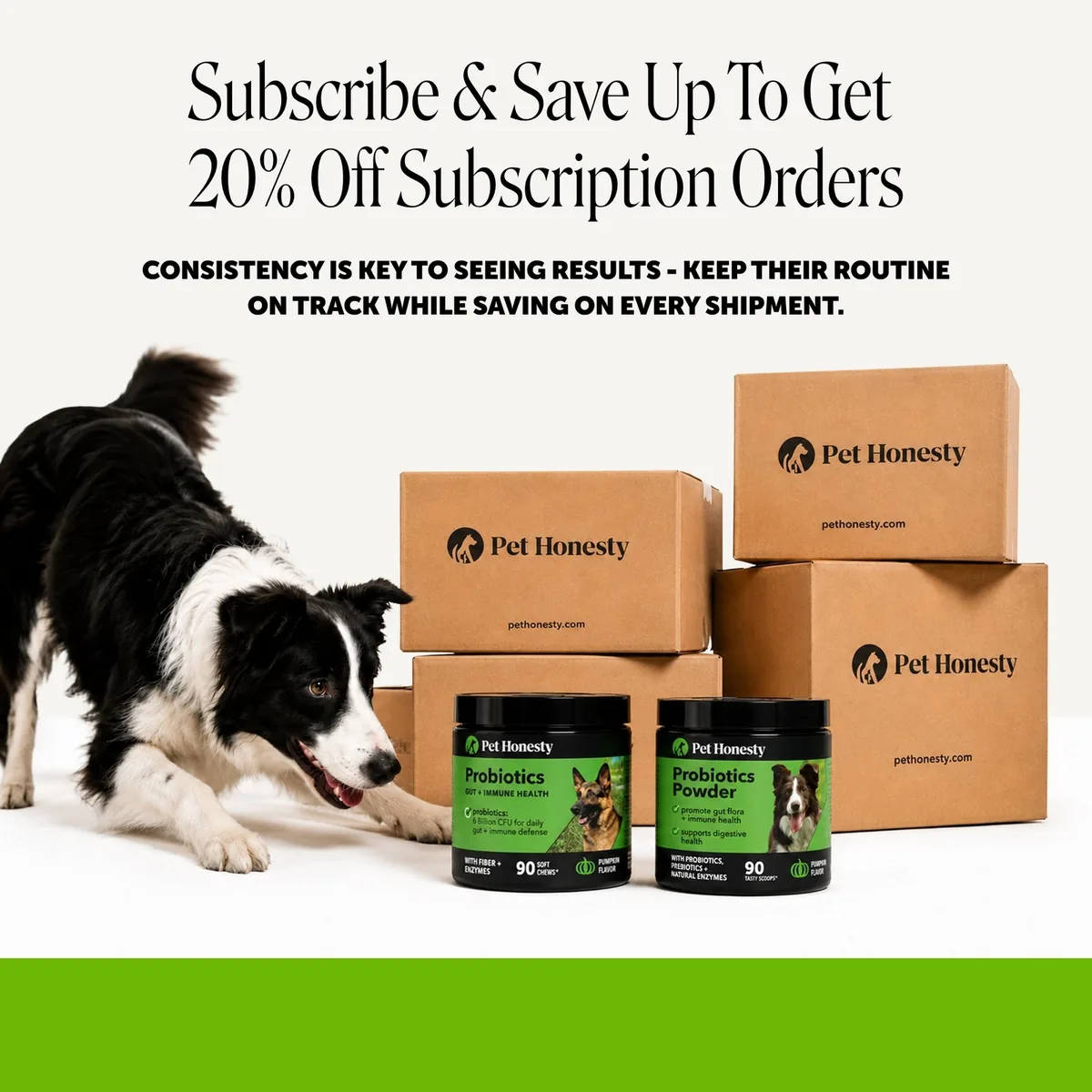 Pet Honesty subscription message: consistency is key to seeing results, keep their routine on track