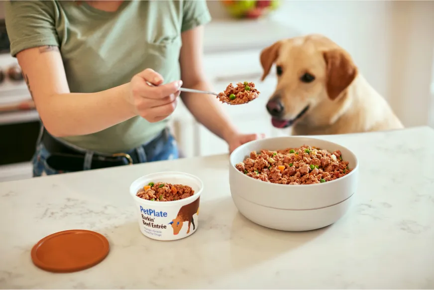 A person spooning PetPlate FreshCooked beef into a bowl while a labrador watches