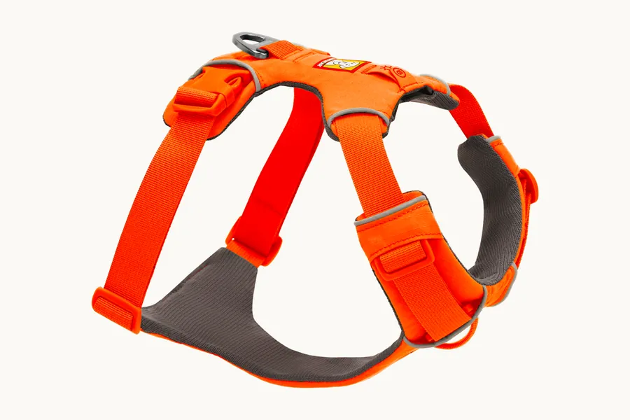 The Front Range harness in blaze orange, showing the reflective trim stitched along its webbing