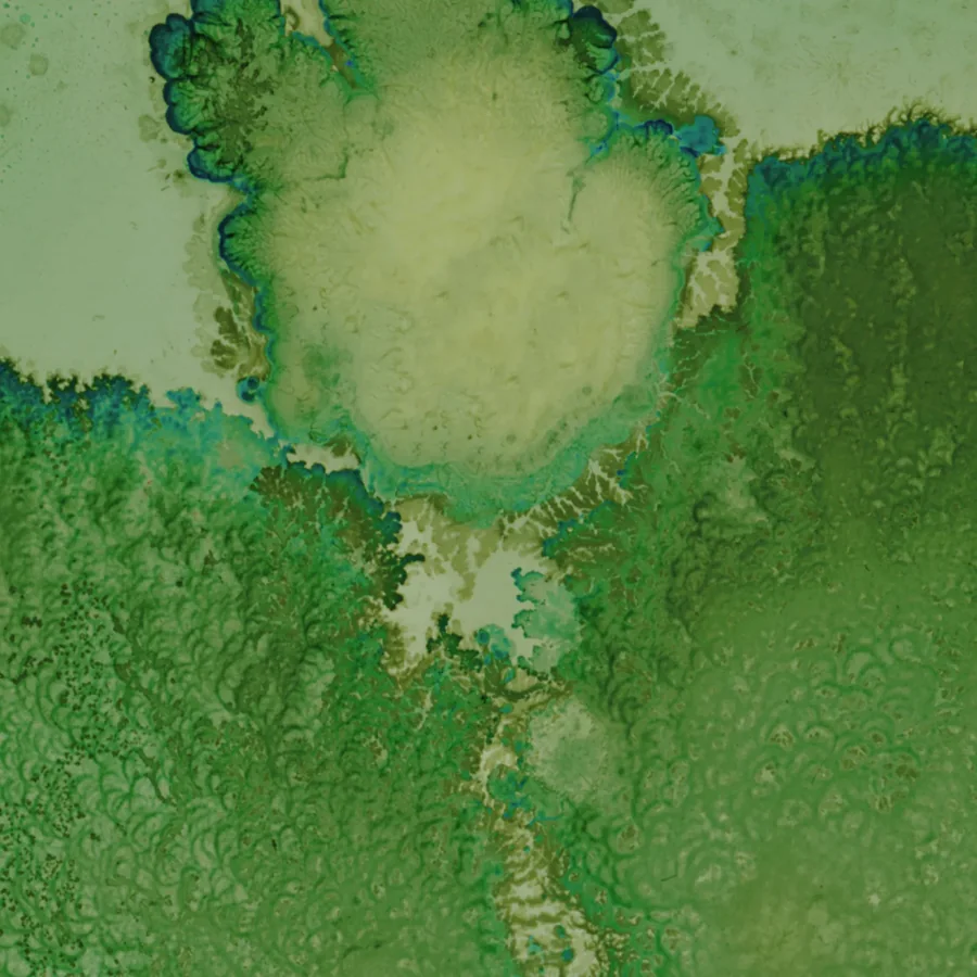 A microscopy image of bacterial growth in green and blue tones