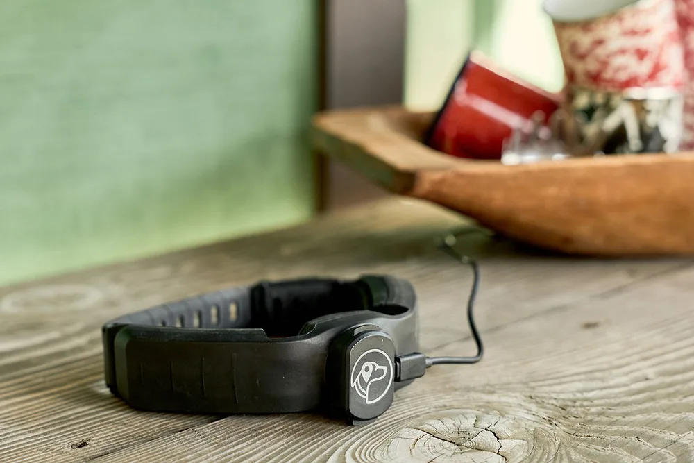 A black SpotOn collar lying on a wooden table connected to a charging cable