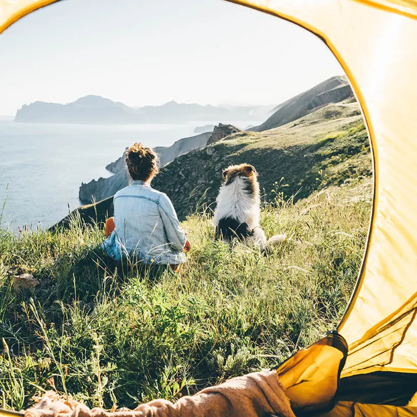 View from inside a tent of a person and a collie sitting together on a clifftop above the sea, the dog off leash