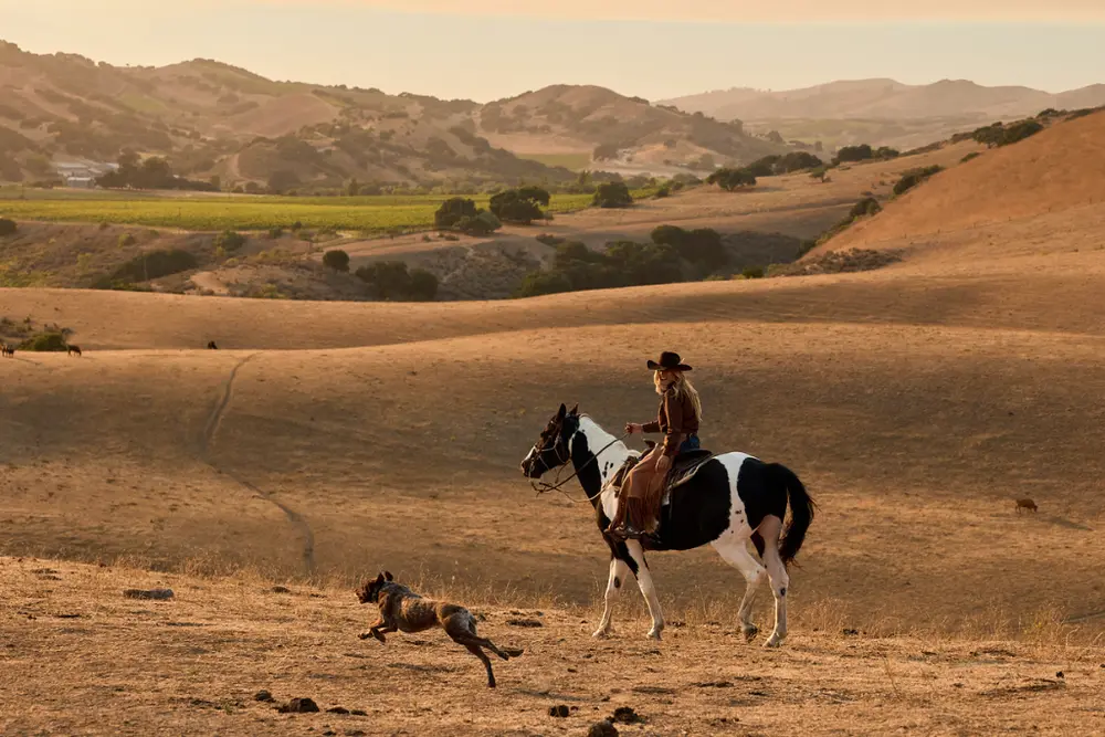A rider on horseback with a dog running alongside across open hills with no buildings in sight